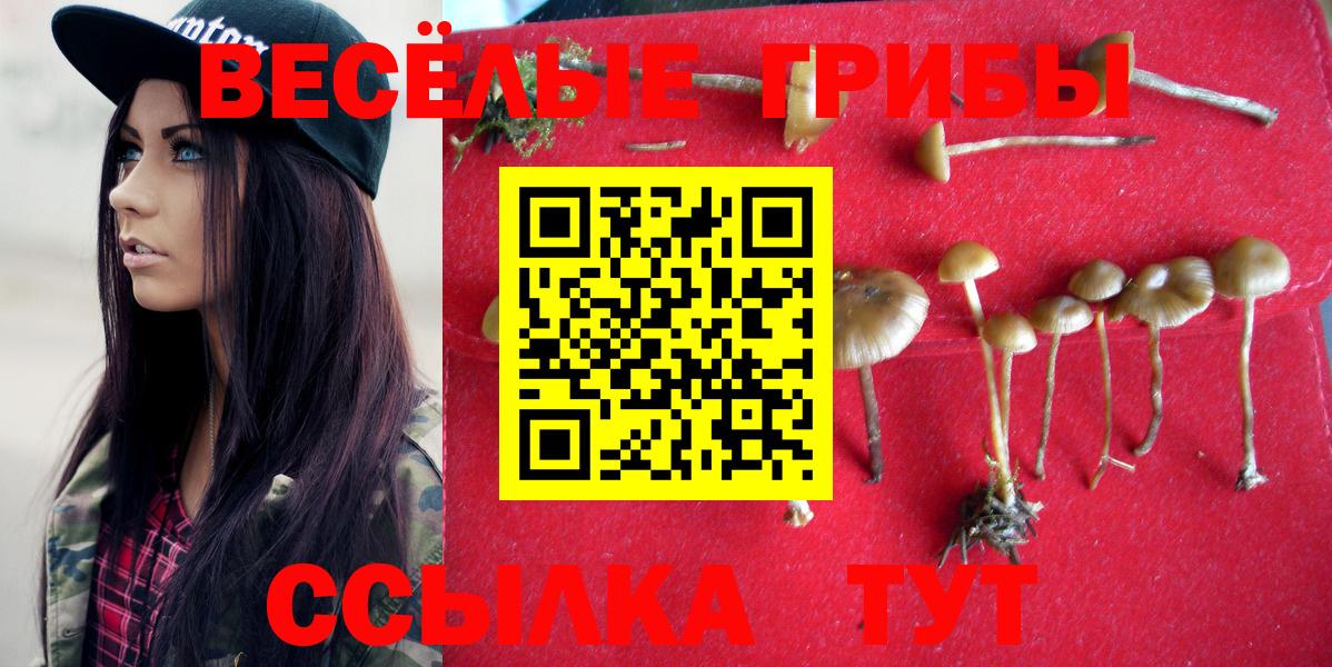 Псилоцибиновые грибы GOLDEN TEACHER  Вход с VPN  Астрахань 