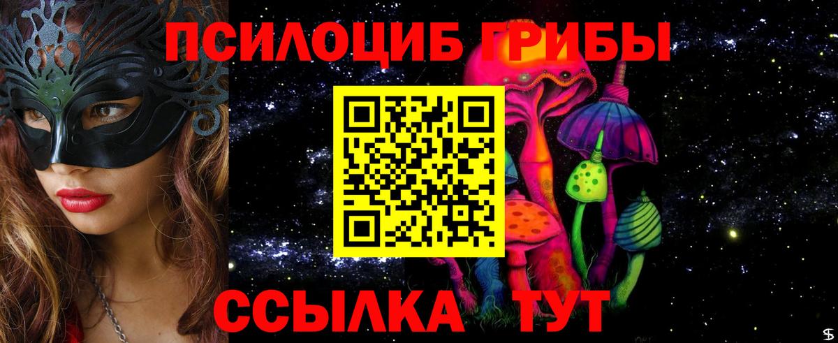 Галлюциногенные грибы Cubensis Астрахань